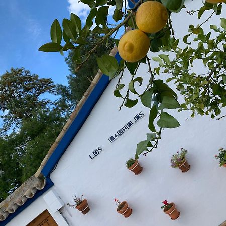 Pilas Casa Los Laureles מראה חיצוני תמונה