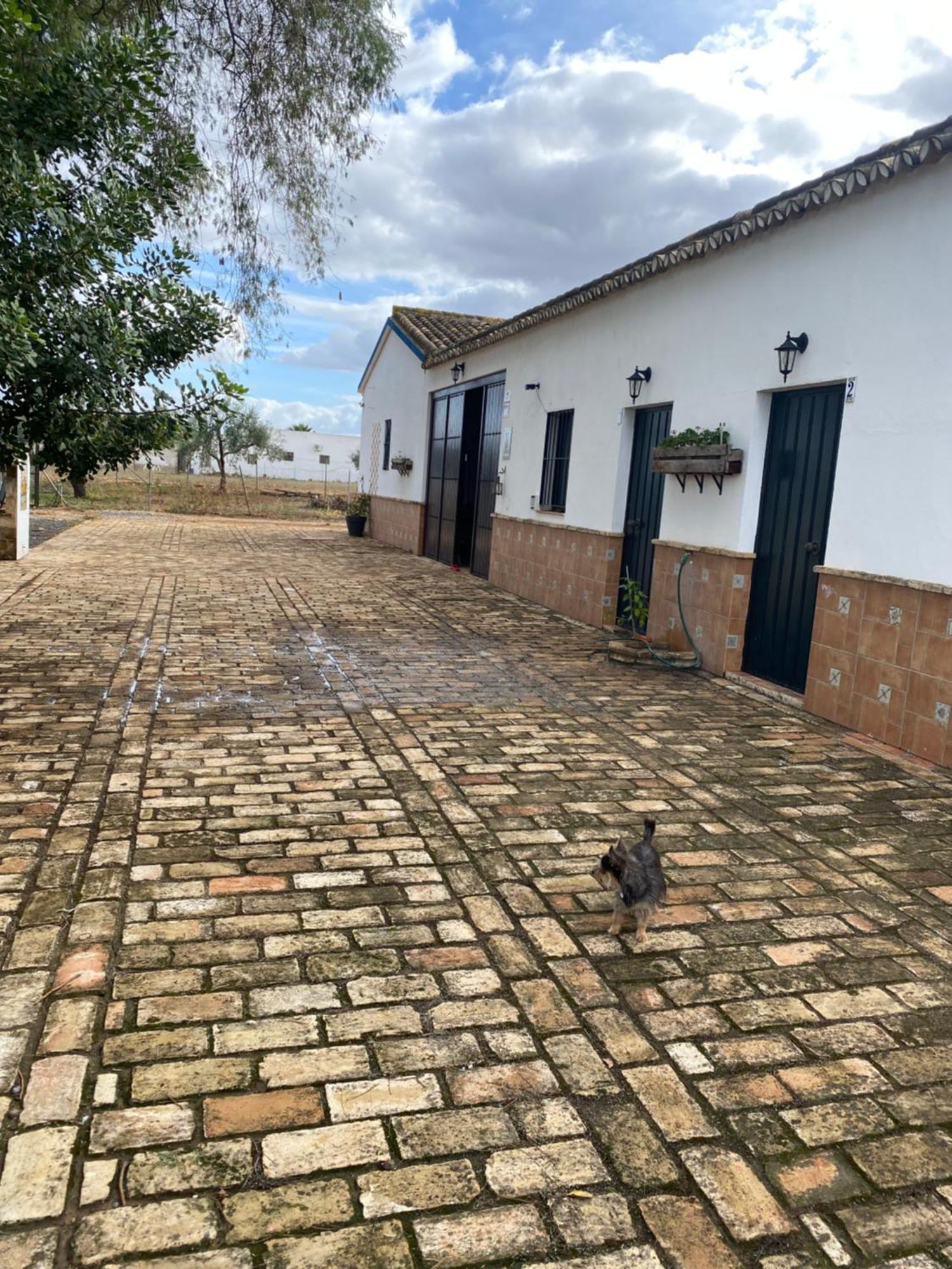 Pilas Casa Los Laureles מראה חיצוני תמונה