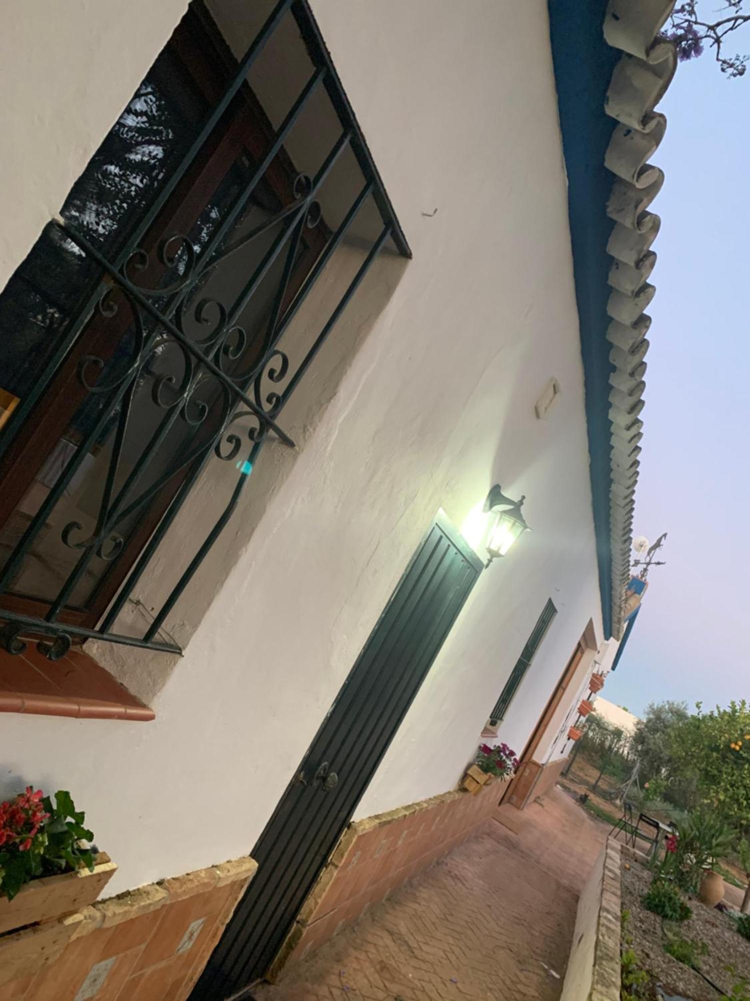 Pilas Casa Los Laureles מראה חיצוני תמונה