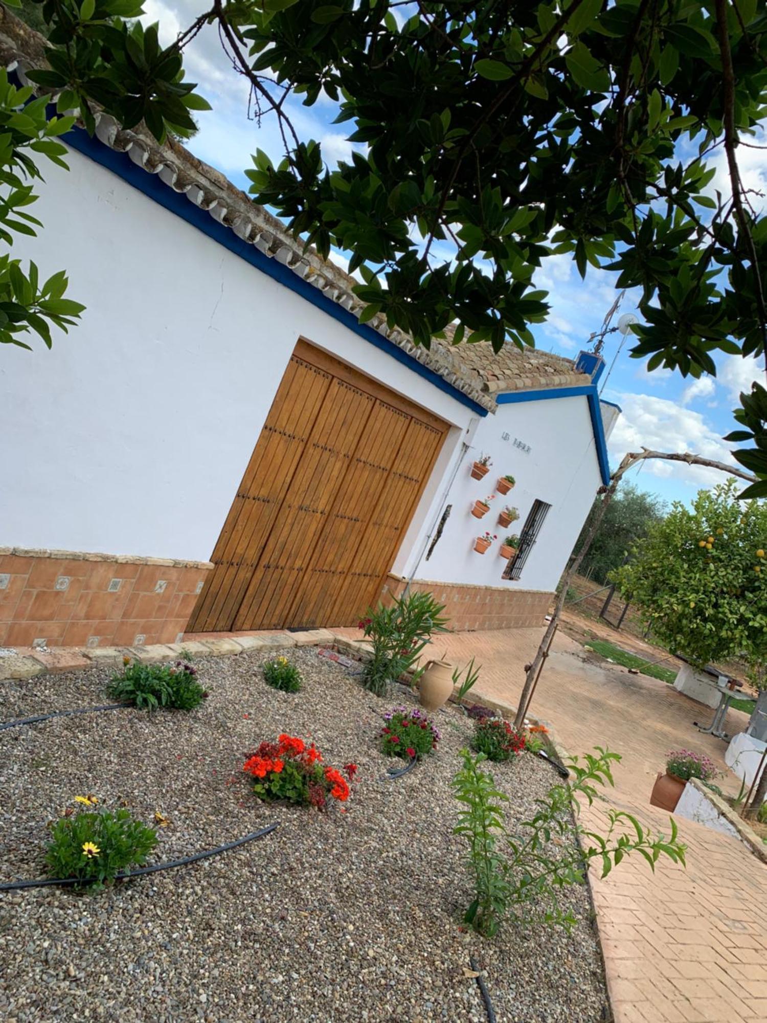Pilas Casa Los Laureles מראה חיצוני תמונה