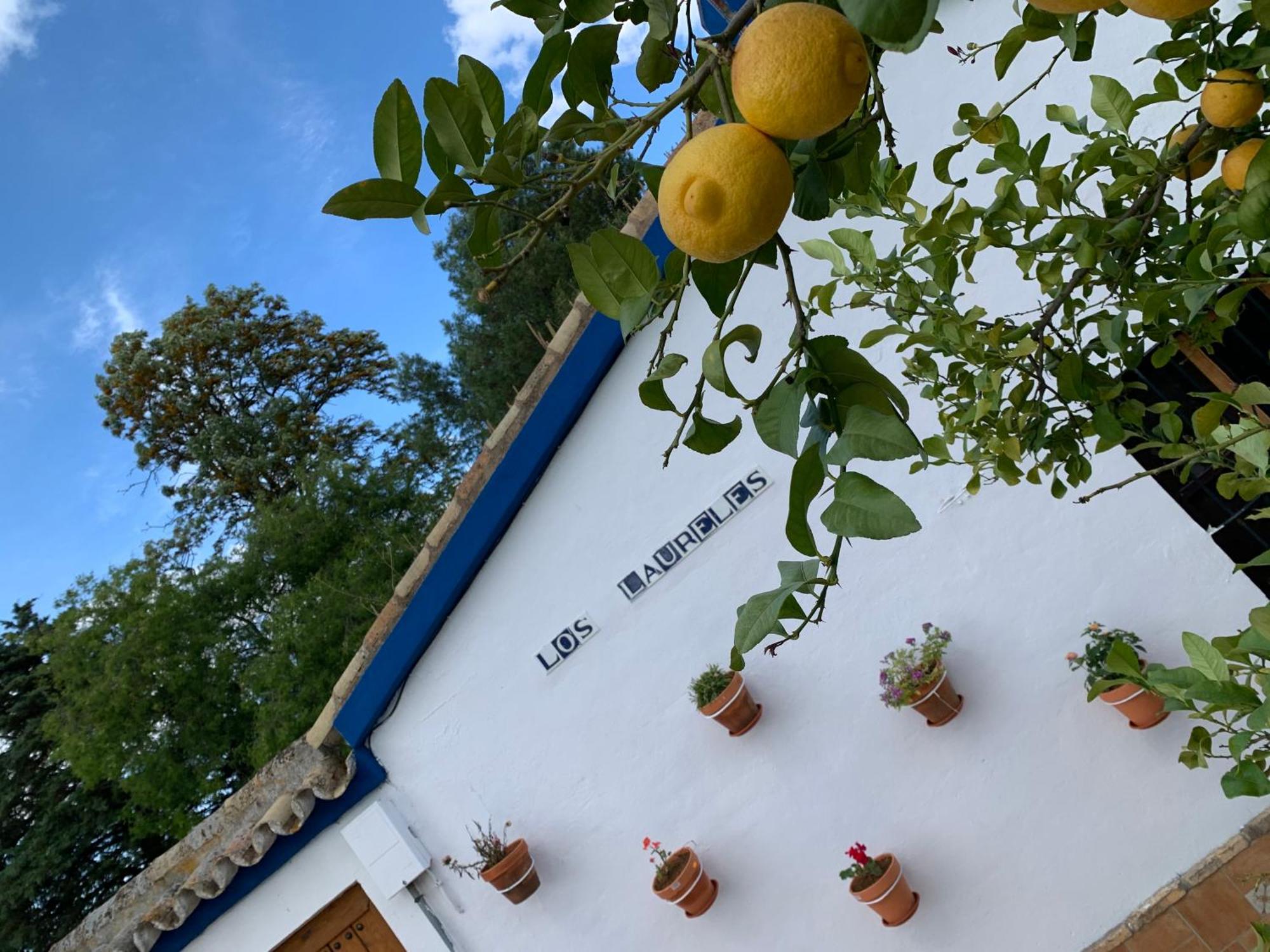 Pilas Casa Los Laureles מראה חיצוני תמונה