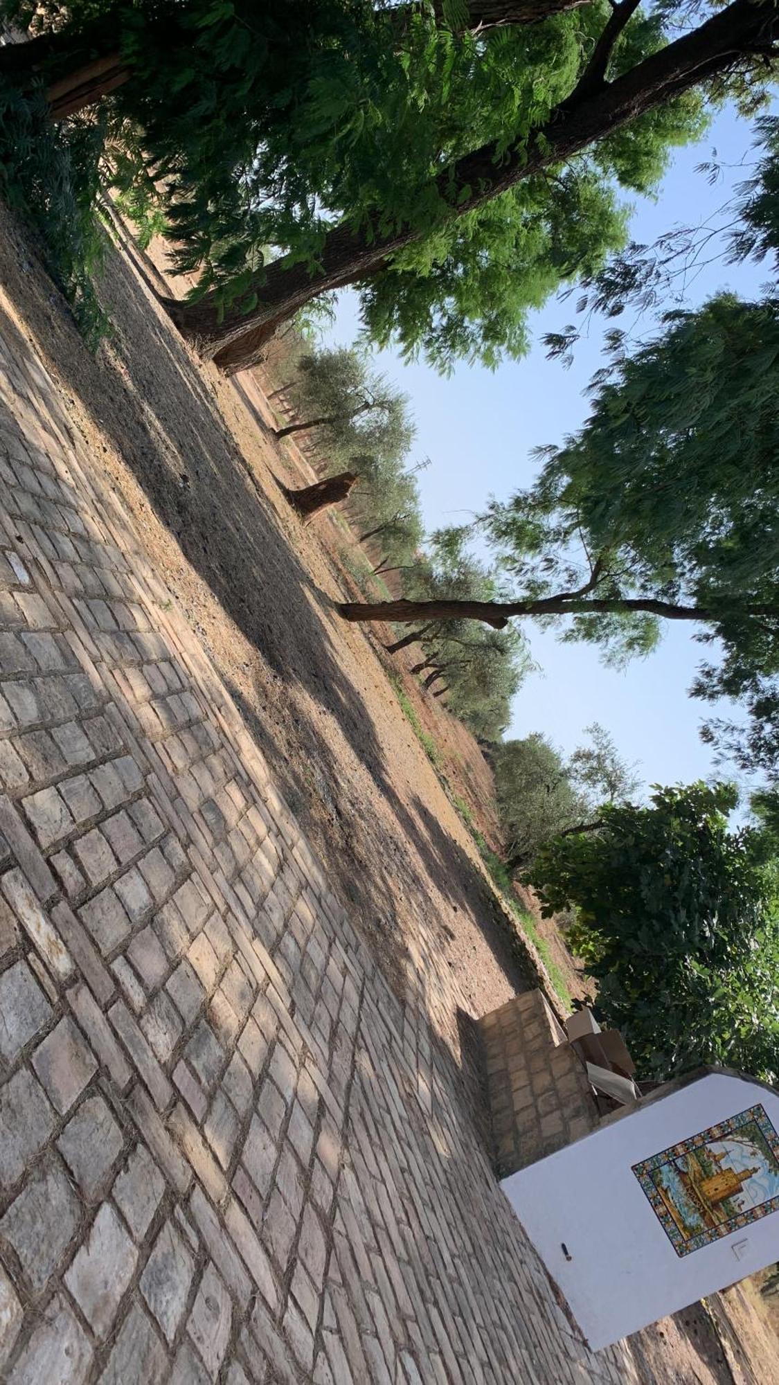 Pilas Casa Los Laureles מראה חיצוני תמונה