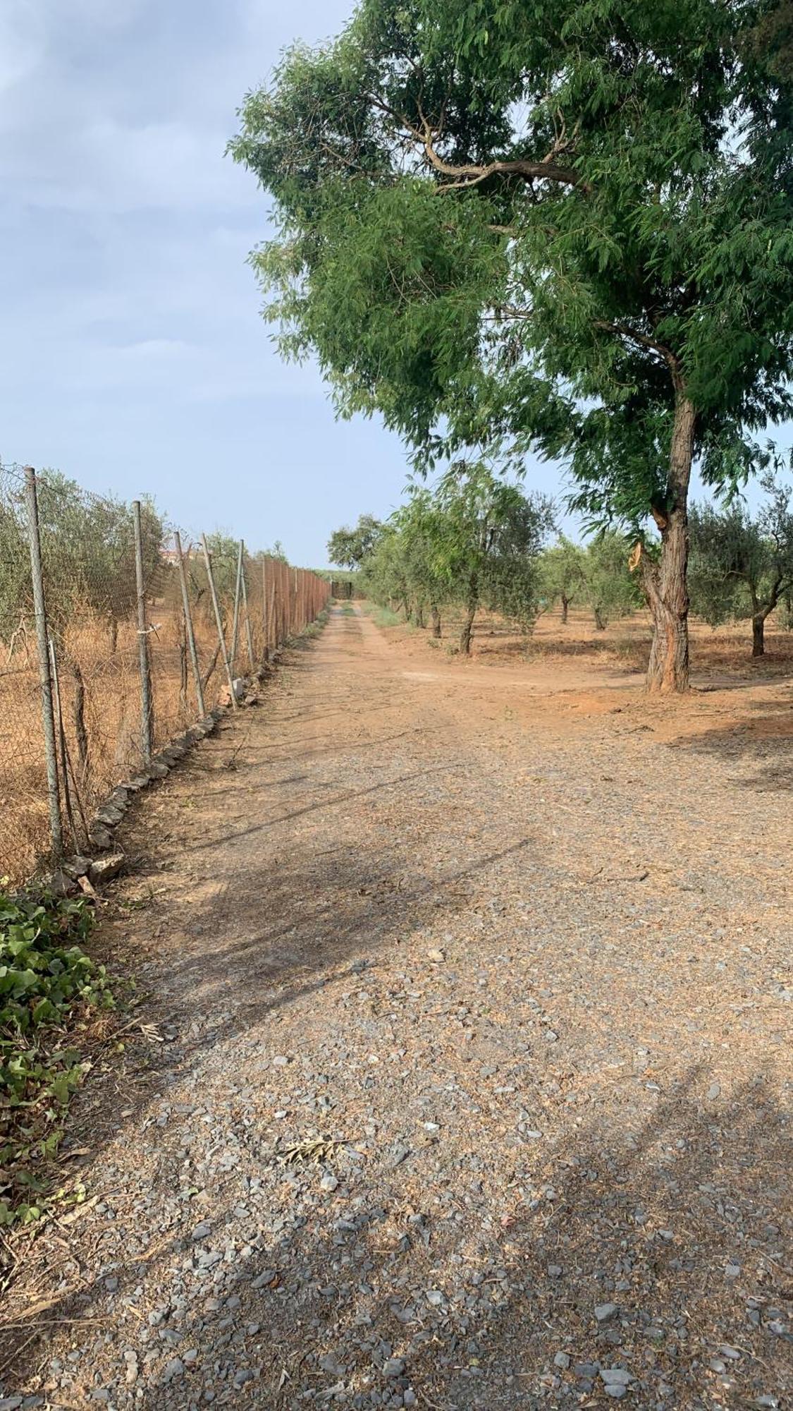 Pilas Casa Los Laureles מראה חיצוני תמונה